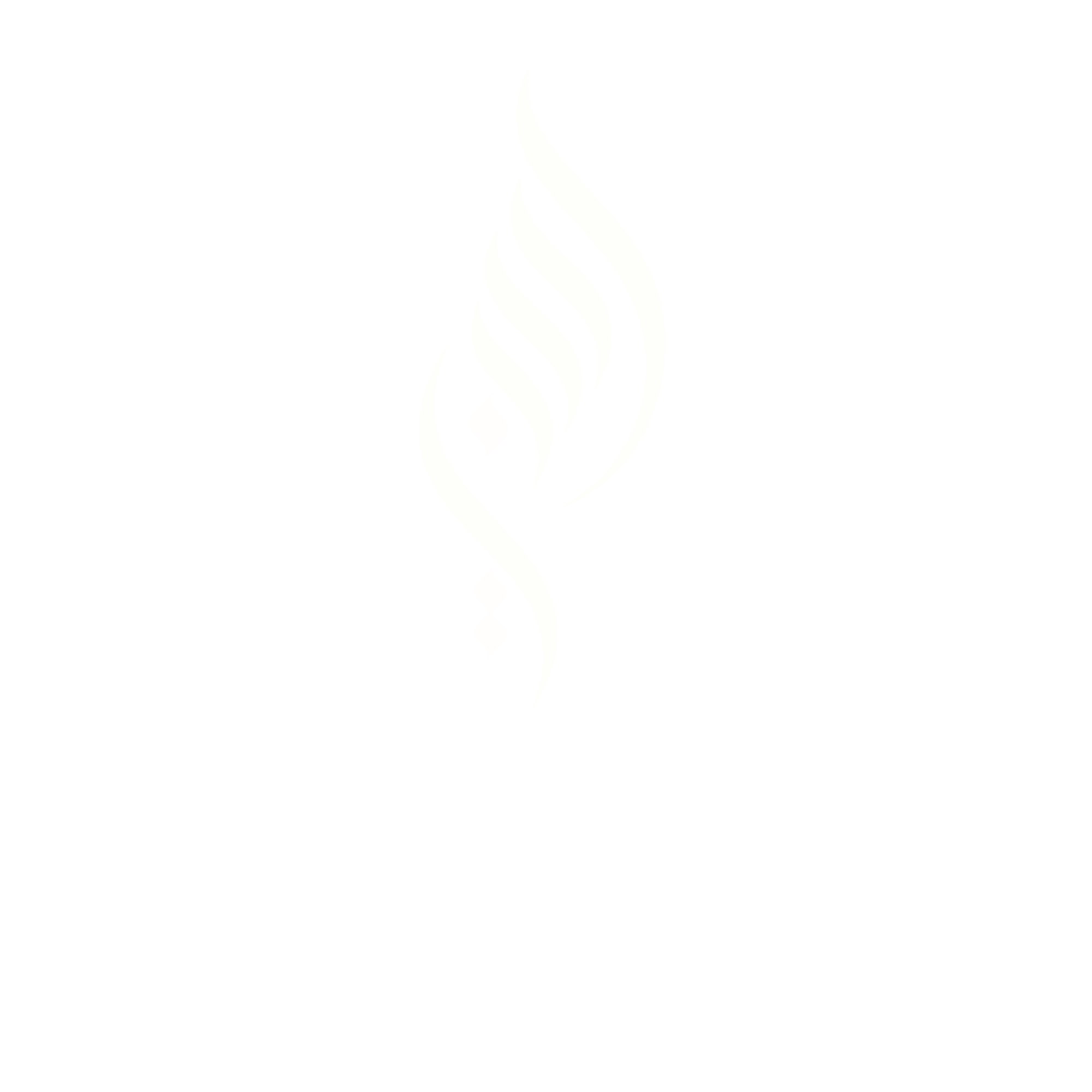 Raseen College Logo